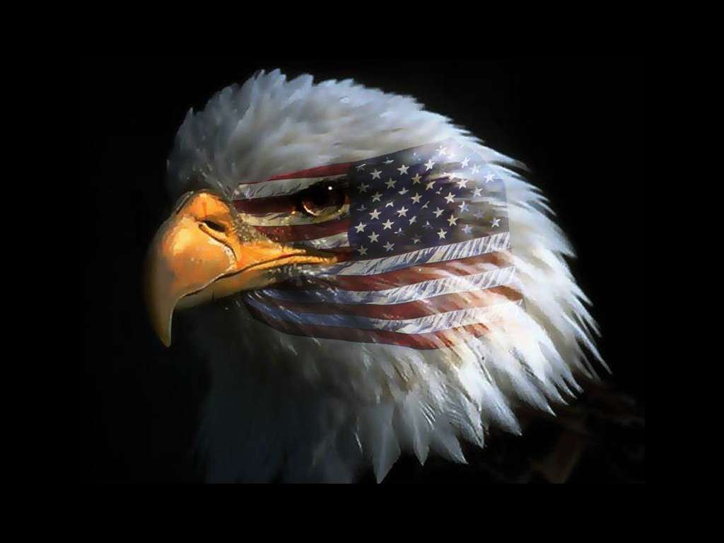 Eagle-Flag.jpg
